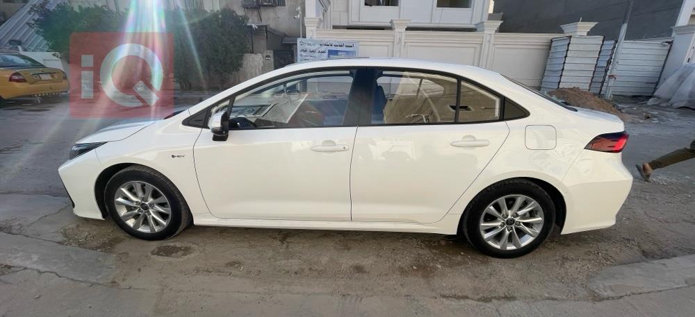 تويوتا كورولا